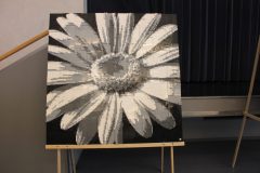 IMG_0013-scaled