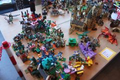 IMG_0051-scaled