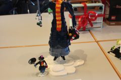 IMG_9992-scaled